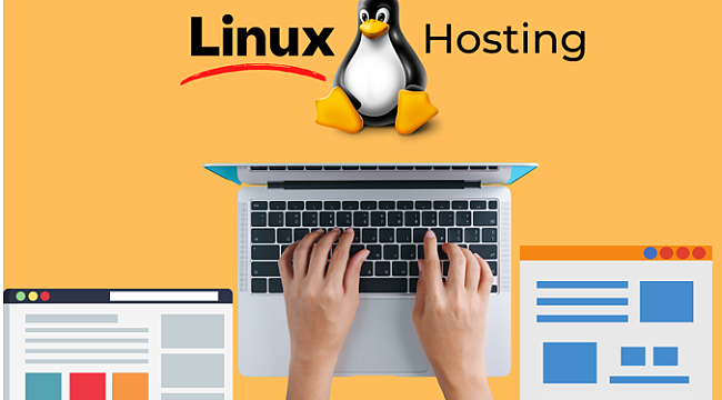 Linux hosting ne işe yarar