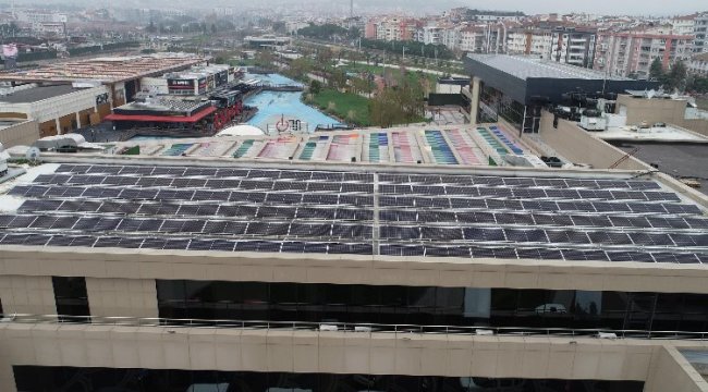 GES binlerce ağacı kurtarıyor