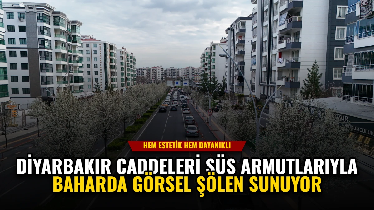 Diyarbakır Caddeleri Süs Armutlarıyla Baharda Görsel Şölen Sunuyor