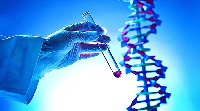 Check-Up ile Sağlığınızı Güvence Altına Alın