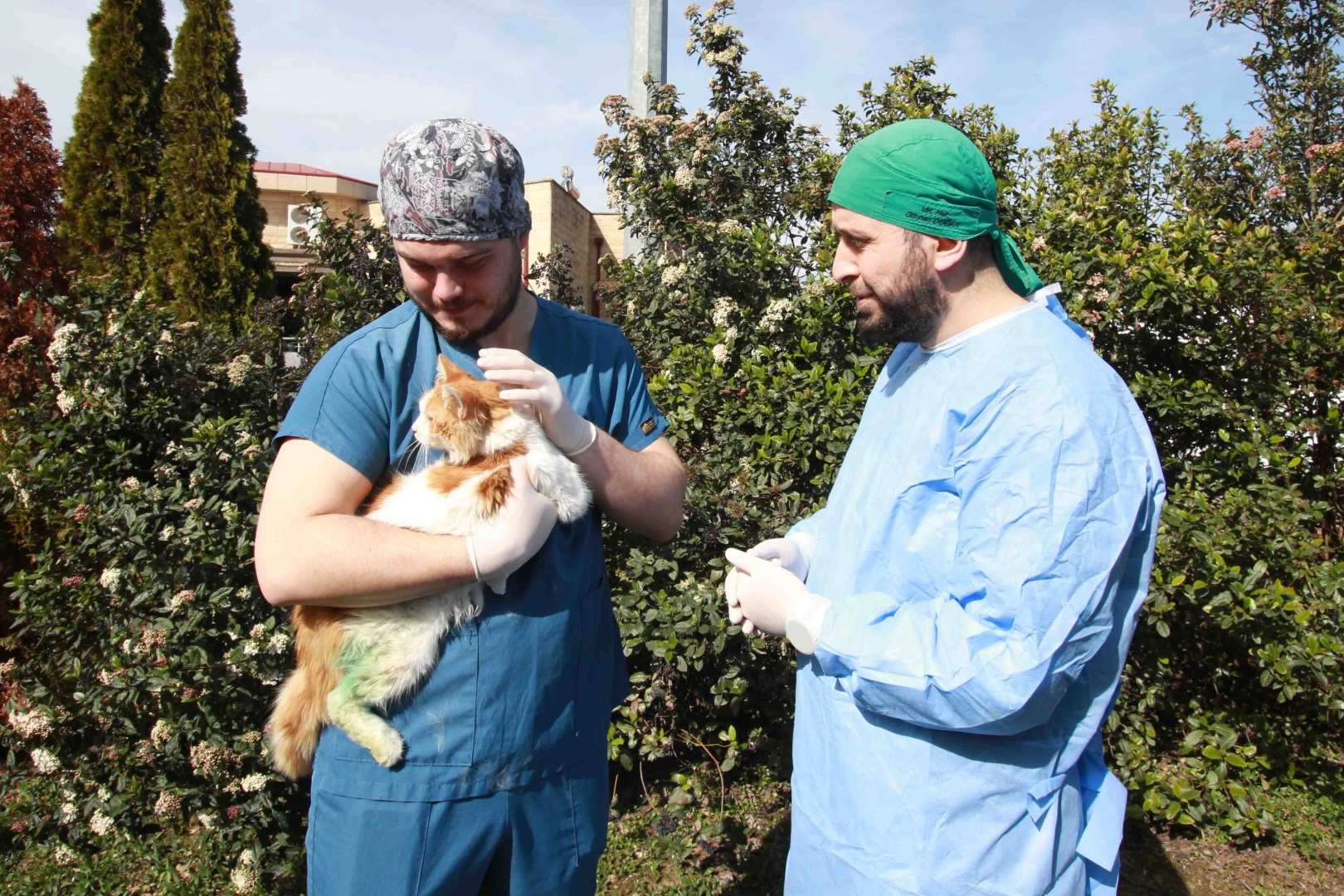 Kocaeli'de sokak hayvanlarına şefkat eli