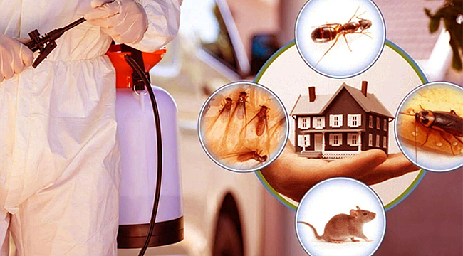 Ankara Böcek İlaçlama 2025